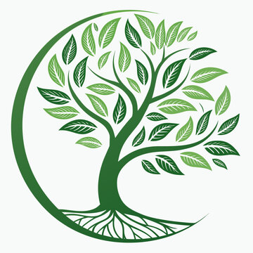 Green tree with leaves and roots in a circular frame