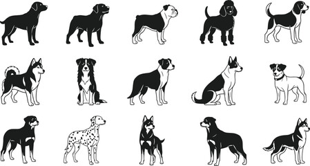 Set of 15 dog breed silhouette icons featuring varied profiles for pet, education, and design use