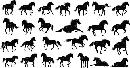Set of 24 horse silhouettes in varied poses for equestrian, wildlife, sports, and design projects