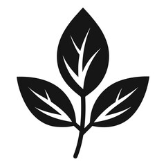 A black and white illustration of a leafy plant with three leaves visible