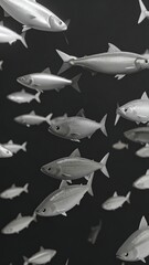 School of fish in monochrome