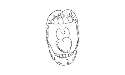 Detailed Line Art of an Open Mouth Showing Teeth, Tongue, and Uvula