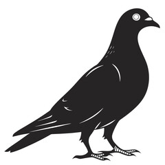 Fototapeta premium Black silhouette of a pigeon standing on white background with simple feather details