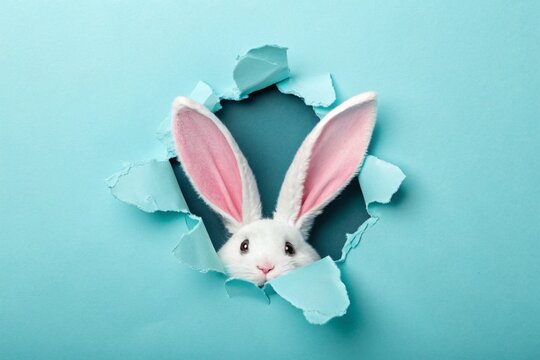 A pair of rabbit ears, white and pink, emerge from a cutout hole against a pastel blue background. Themes of Easter, playfulness