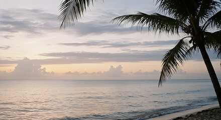 Fototapeta premium Calm Ocean View at Sunset with Palm Trees and Cloudy Sky