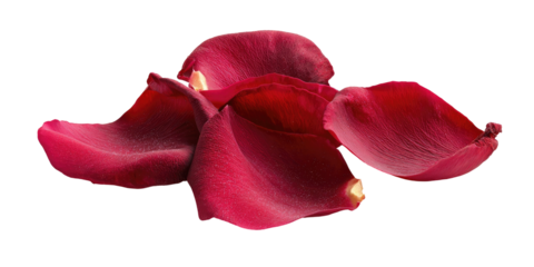 Deep red rose petals overlapping against black background