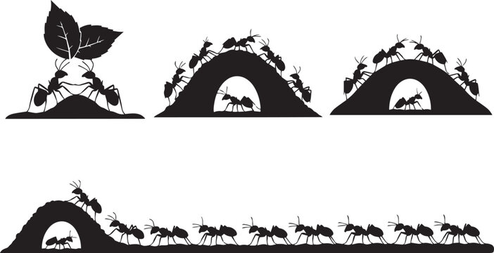 Vector Silhouette of Ants Working Together on Anthill, Carrying Leaf, Marching Colony Insects, Black Insect Illustration Design for Nature, Wildlife and Teamwork Concept
