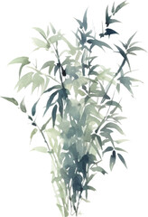 Obraz premium Vector watercolor painted bamboo. Hand drawn flower design elements isolated on white background.