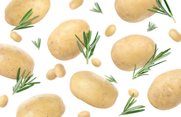 Fresh ripe potatoes and rosemary falling on white background