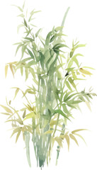 Fototapeta premium Vector watercolor painted bamboo. Hand drawn flower design elements isolated on white background.