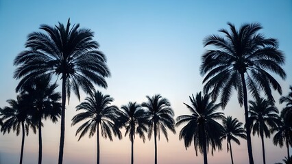 Silhouetted palm trees against a soft blue and pink sunset sky
