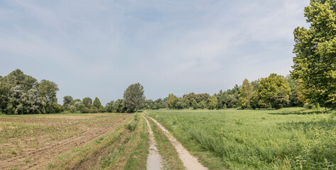 dirt road in green countryside near Acqualunga, Italy