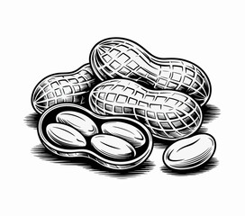 snake on a white background