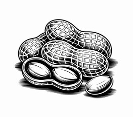 vector illustration of a guitar