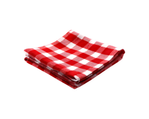 A neatly folded red checkered napkin