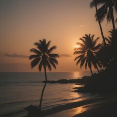 Silhouette of Coconut Trees at Dusk