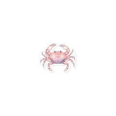 Crab marine watercolor sticker