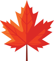 Maple leaf