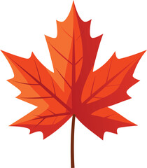 Maple leaf