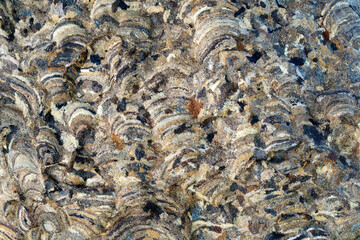 Textured Surface of Natural Rock with Colorful Patterns and Layers