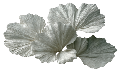Elegant, layered, light gray leaves