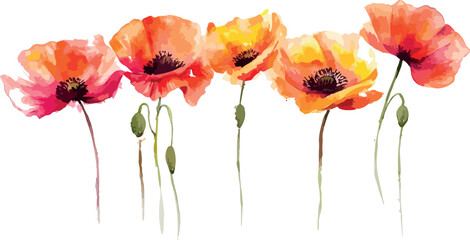 Vibrant tropical flower arrangement with lush green leaves and exotic blooms