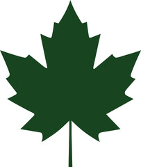 Maple leaf  green