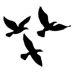 Three black silhouette birds flying freely on a white background isolated