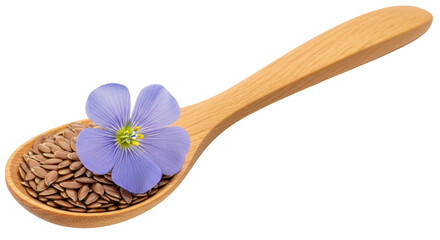 Isolated Flax Seeds and Flower on Spoon