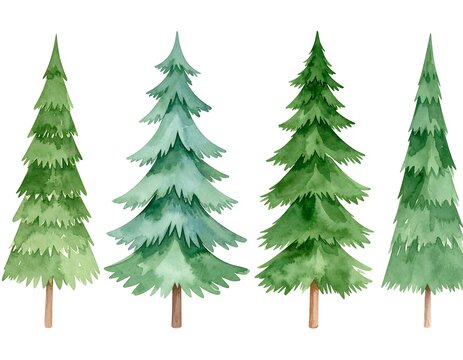 Watercolor pine trees