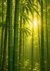 Serene bamboo forest with sunlight.