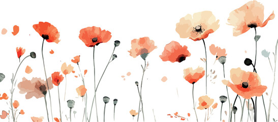 Delicate watercolor painting of vibrant red and orange poppies blooming in a field with a white background