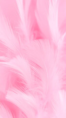 Obraz premium Pink Feather Texture Background.