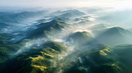 Fototapeta premium Aerial view of rolling green mountains covered in thick white fog with peaks emerging like islands, golden sunlight breaking through clouds, misty valleys hidden below