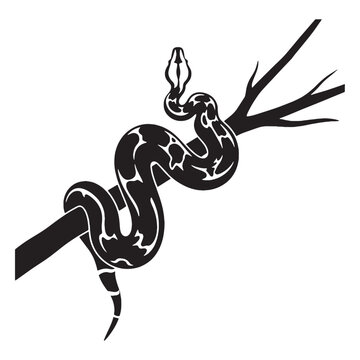 Powerful Boa Constrictor Silhouette Showing Rugged Black Form &ndash; Boa Constrictor Vector Artwork for Graphic Media &ndash; Black Vector of Boa Constrictor