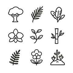 Fototapeta premium Jungle Flora Icons. Outline icon set of jungle flora: tropical tree, palm leaf, banana plant, orchid, vine, bamboo, fern, jungle