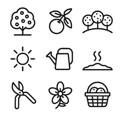 Fototapeta premium Orange Harvest Icons. Outline icon set of orange harvesting and growth: orange tree, orange branch with leaves, orange orchard,