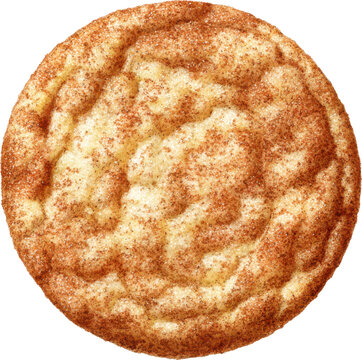 Close-up overhead view of a golden-brown textured snickerdoodle cookie with cinnamon sugar. Watercolor PNG