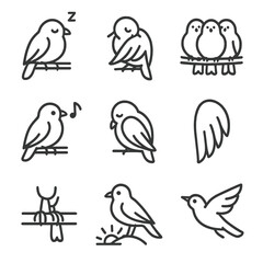 Obraz premium Bird Behavior Icons. Outline icon set of roosting behaviors: sleeping bird, preening bird, flock huddling, night call, wing