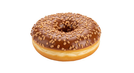 Isolated Chocolate Donut