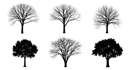 Fototapeta premium Collection of six tree silhouettes, some with leaves and some without, against a white background.