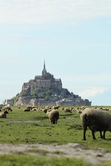 view of the city Mont saint Michelle France Normandië 
