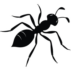 Black ant vector, a small insect, isolated on white with a detailed close-up of its antennae and legs