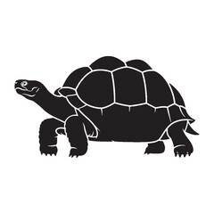 Distinctive Galapagos Tortoise Silhouette with Defined Shell Contour – Galapagos Tortoise Vector Design – Black Vector of Galapagos Tortoise
