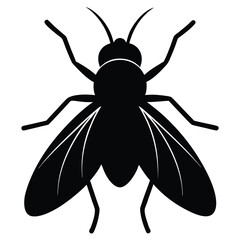 Vector drawing of a funny black and white cartoon beetle, ant, and spider with a flower
