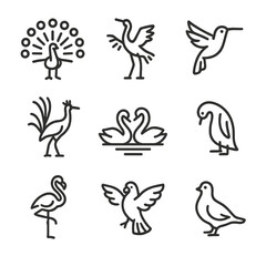 Bird Dance Icons. Outline icon set of mating dance types: peacock display, crane dance, hummingbird flutter, bird of paradise pose