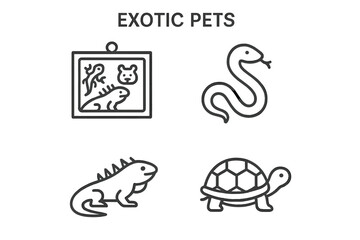 Exotic pets: snake, lizard, turtle, and terrarium icon set in black and white