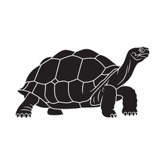 Detailed Galapagos Tortoise Silhouette Capturing Strong Legs and Stature – Galapagos Tortoise Vector Graphic – Black Vector of Galapagos Tortoise