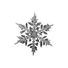 White snowflake with intricate geometric structure and symmetrical design