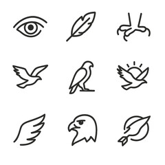 Hawk Icon Set. Outline icon set of hawk symbolic elements: hawk eye, feather, talon grip, flying hawk, hunting silhouette, sun